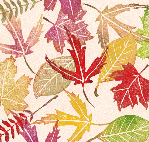 Herbstblätter Illustration